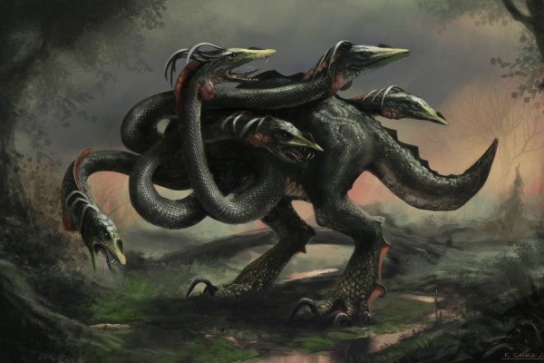 Kraken даркнет что это
