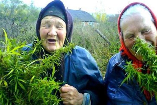 Запрещенный сайт кракен