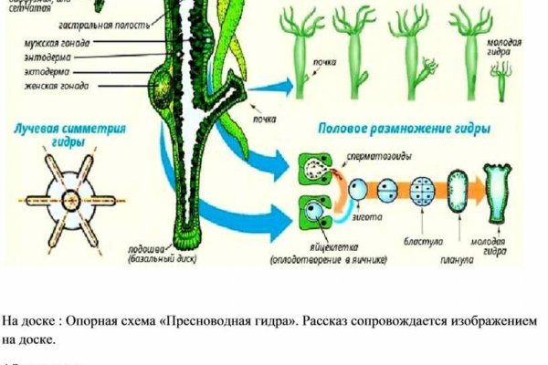 Кракен актуальная ссылка kraken torion net