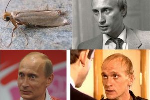 Кракен тор kr2web in